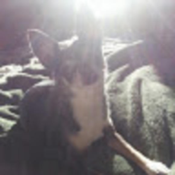 Meet your Posher, Leah - Picture 1 of 1